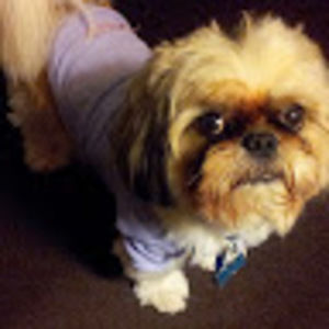 Meet your Posher, Vera